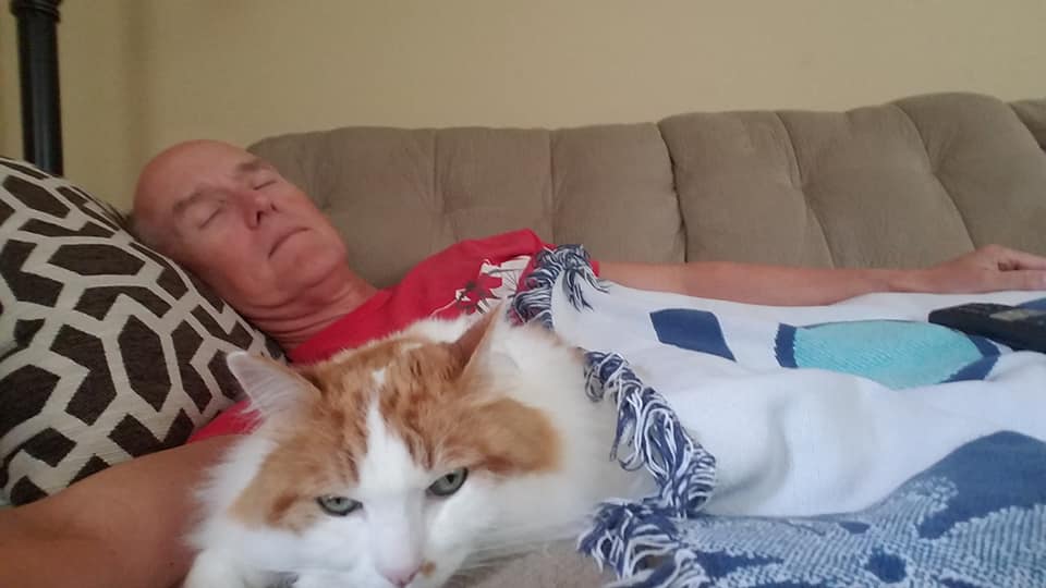 71089838_386888545572059_7022770522555416576_n