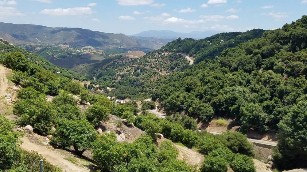 102899046_582276686033243_2517503127696809037_o