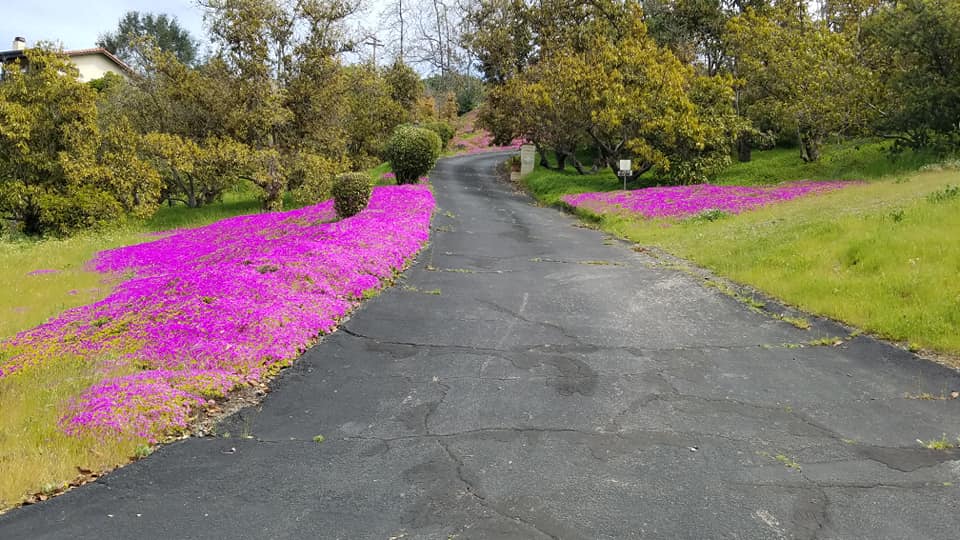 90355165_526474568280122_7208044828905439232_n