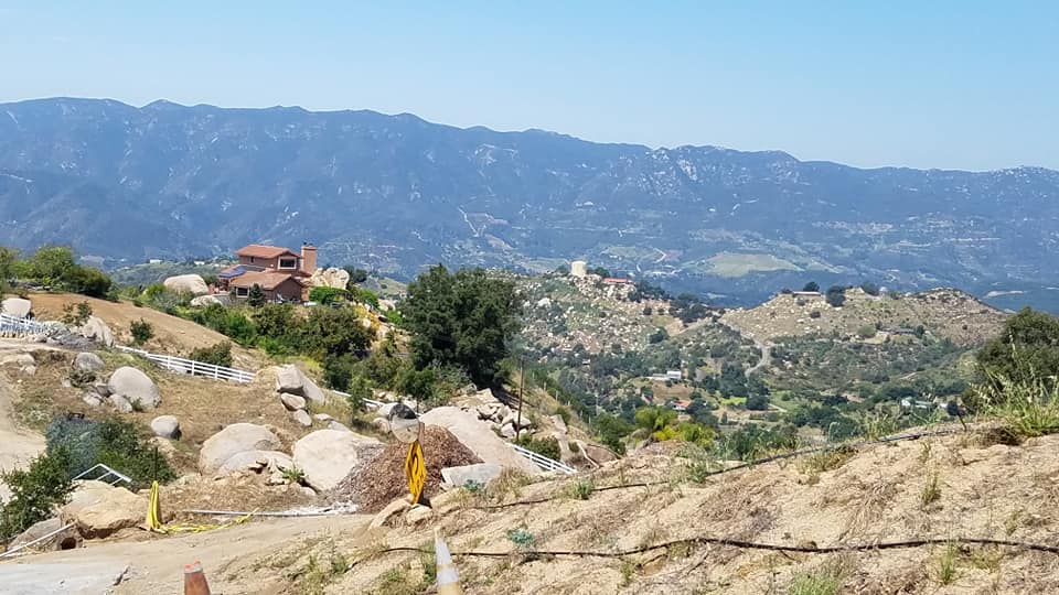 96151887_10218917095455629_7816111124553662464_n