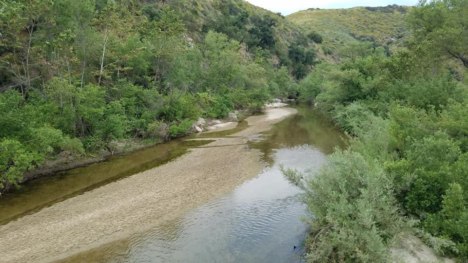 96276592_10218917095135621_7973760768191496192_n