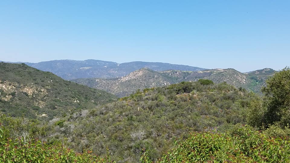 96348534_10218917097015668_1918927135142051840_n