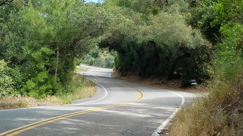 97130414_10218917094735611_3828402898396512256_n